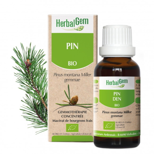 ハーバルジェム マウンテンパイン 15ml ジェムレメディ シングル ハーバル サプリメント モンタナマツ ジェモセラピー BIO Pine Mountain PIN DES MONTAGNES